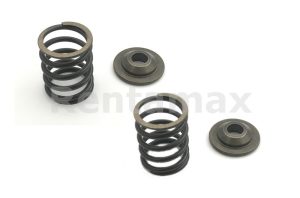 KIT RESORTE Y RETENEDOR VALVULA ROBIN EH12 253-33601-03 132-09KA0-40