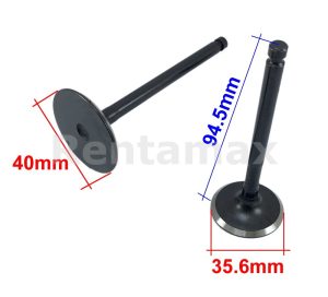KIT VALVULAS ADMISION Y ESCAPE 192F 195F 1702505 1702605