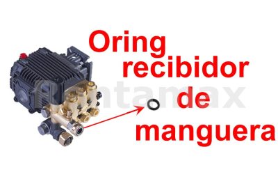 ORING RECIBIDOR MANGUERA 3/8