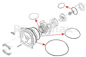 KIT ORING WACKER PT3 5000119408