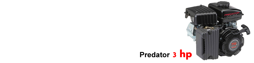 Predator 3Hp categoría
