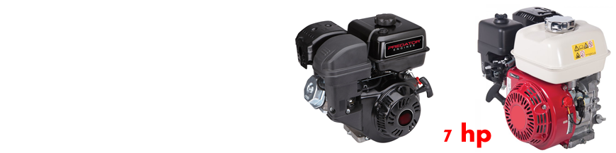 7Hp categoría