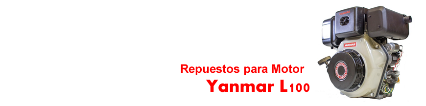 L100 categoría