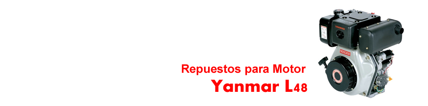 L48 categoría