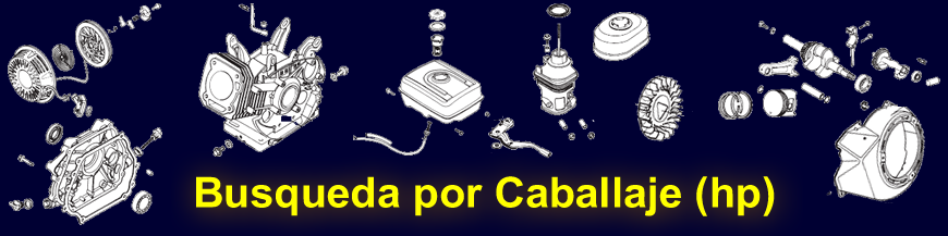 Por Hp (Caballos de potencia) categoría